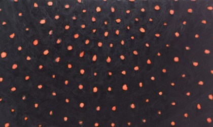 Ross Bleckner